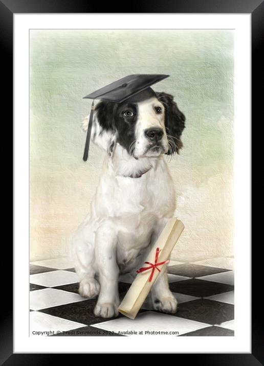  Graduation Day Framed Mounted Print by Trudi Simmonds