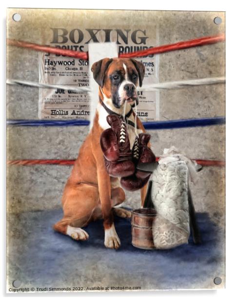  The Boxer Acrylic by Trudi Simmonds