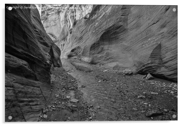 Willis Creek Slot Canyon (mono) Acrylic by Derek Daniel