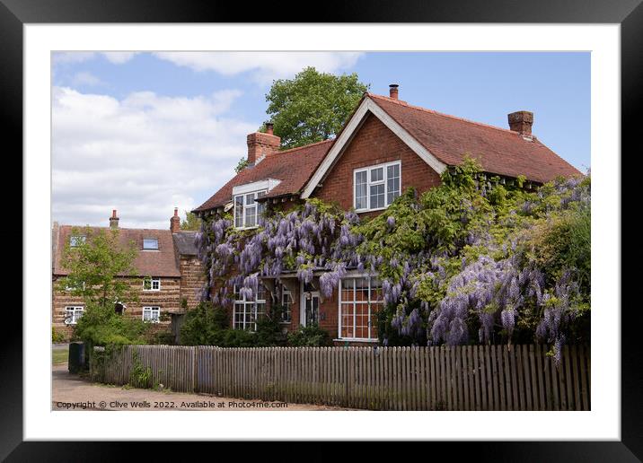 Wisteria covered house Framed Mounted Print by Clive Wells