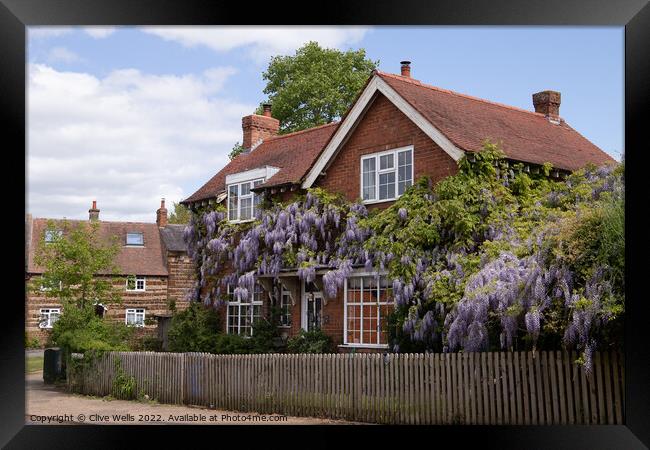Wisteria covered house Framed Print by Clive Wells