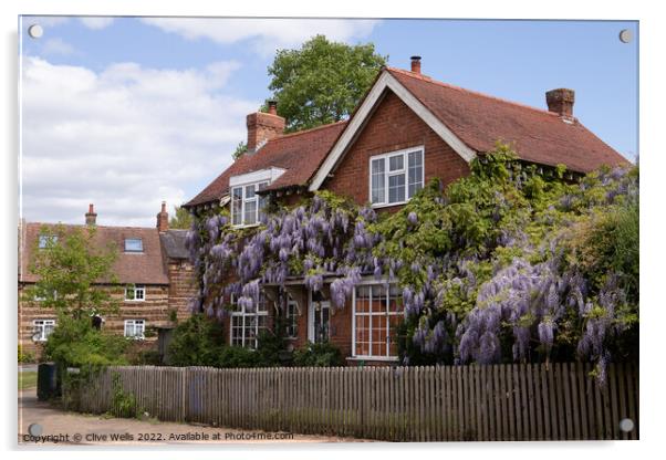 Wisteria covered house Acrylic by Clive Wells