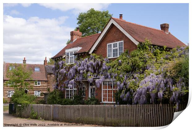 Wisteria covered house Print by Clive Wells