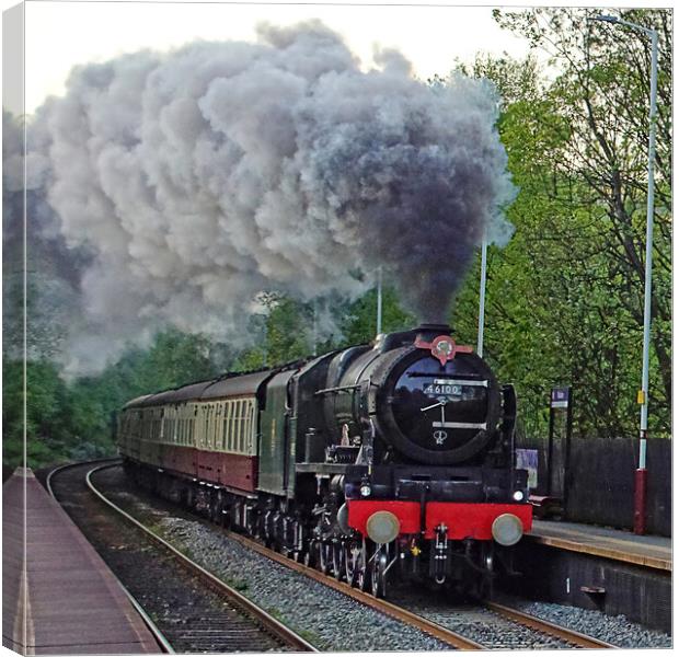 The power of Royal Scot. Canvas Print by David Birchall