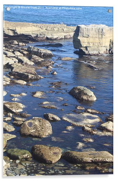 Rocky Coastline Acrylic by Nicola Clark