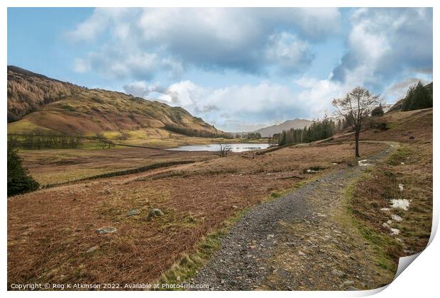 Blea Tarn Print by Reg K Atkinson