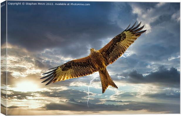 Red Kite in Flight with Lightening  Canvas Print by Stephen Pimm