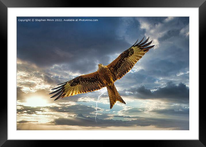 Red Kite in Flight with Lightening  Framed Mounted Print by Stephen Pimm