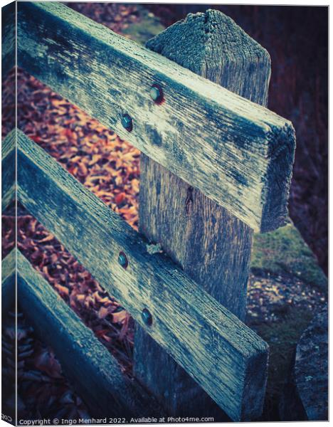 The wooden weathered fence and dry autumn leaves in the forest Canvas Print by Ingo Menhard