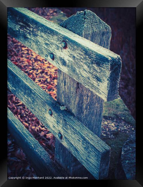 The wooden weathered fence and dry autumn leaves in the forest Framed Print by Ingo Menhard