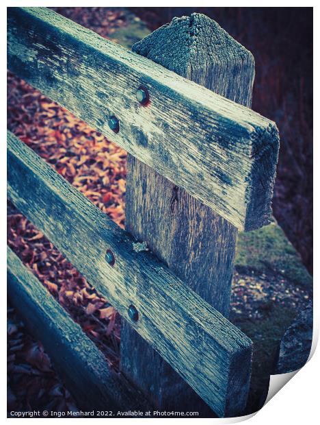 The wooden weathered fence and dry autumn leaves in the forest Print by Ingo Menhard