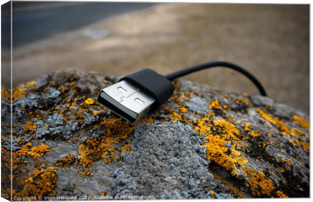 Closeup shot of a USB cord on a moldy rock Canvas Print by Ingo Menhard