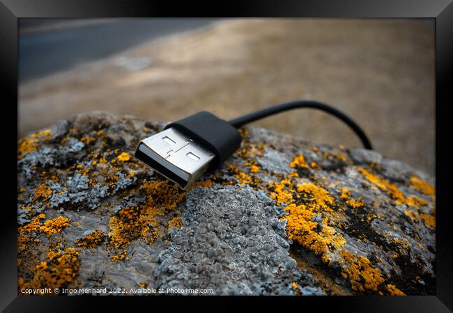 Closeup shot of a USB cord on a moldy rock Framed Print by Ingo Menhard