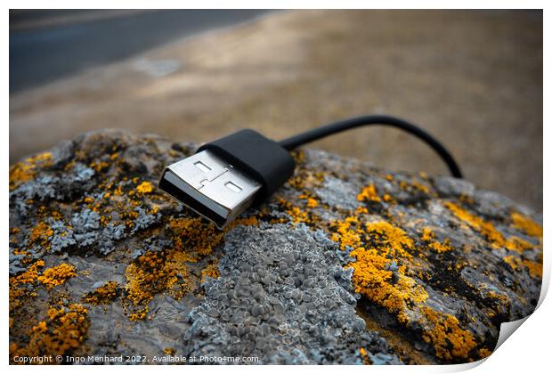 Closeup shot of a USB cord on a moldy rock Print by Ingo Menhard