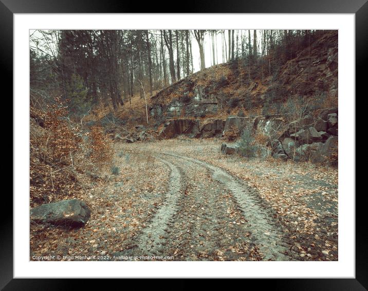 Road covered in fallen leaves and surrounded by trees Framed Mounted Print by Ingo Menhard