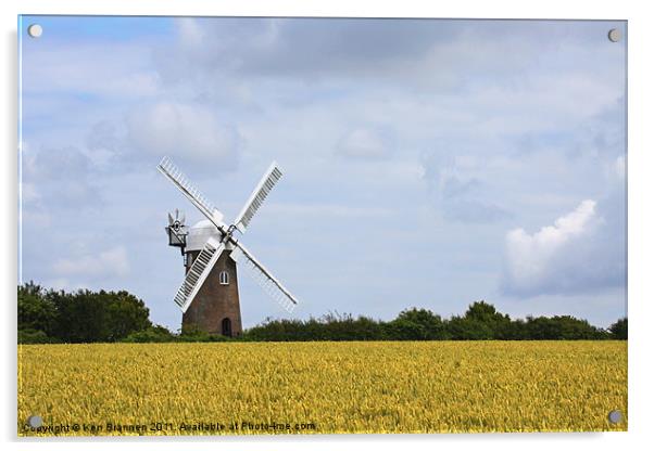Wilton Windmill and Corn field Acrylic by Oxon Images