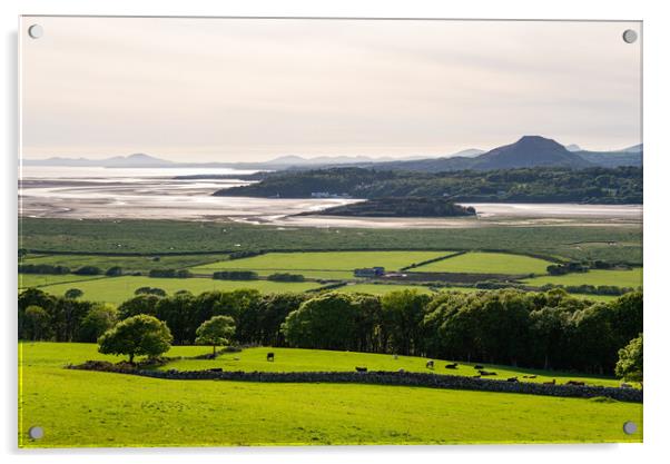 Dwyryd estuary from Llandecwyn, North Wales Acrylic by Andrew Kearton