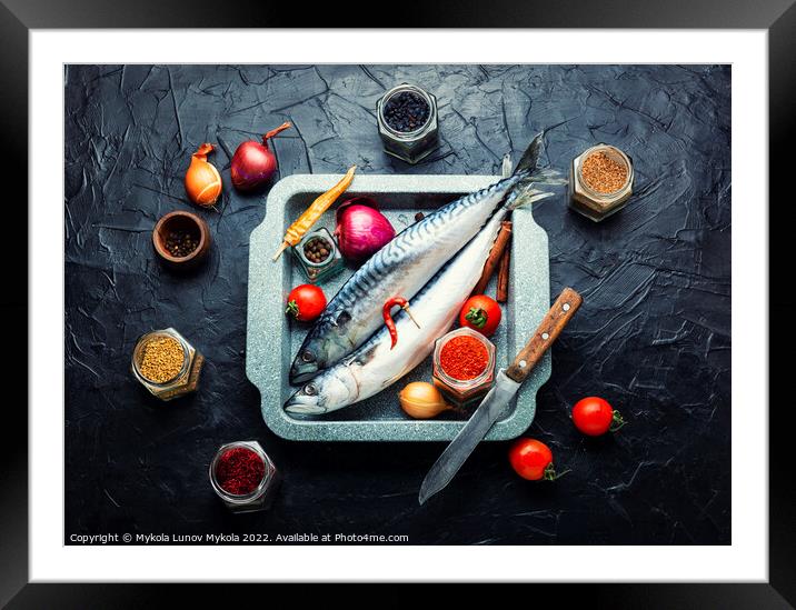 Fresh, raw mackerel fish Framed Mounted Print by Mykola Lunov Mykola