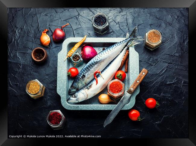 Fresh, raw mackerel fish Framed Print by Mykola Lunov Mykola