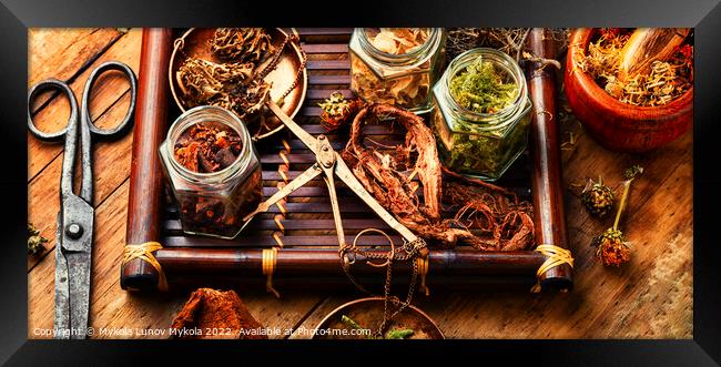 Tray with healing herbs. Framed Print by Mykola Lunov Mykola