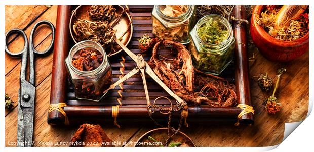 Tray with healing herbs. Print by Mykola Lunov Mykola