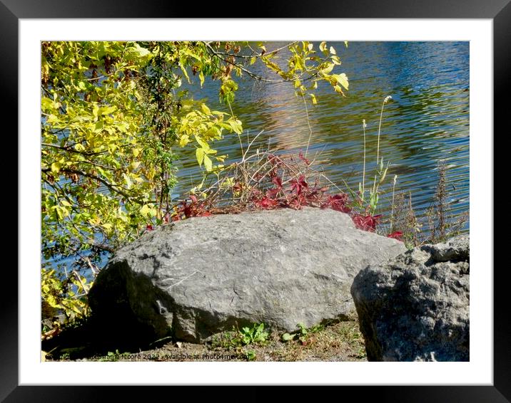 Rocks and leaves Framed Mounted Print by Stephanie Moore