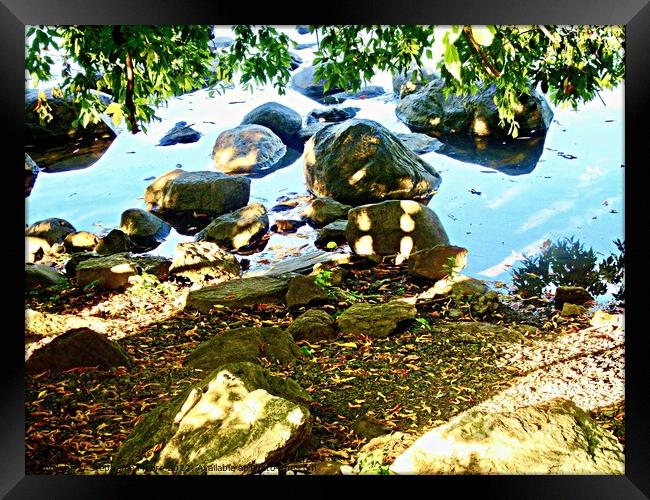 Sun dappled rocks in the Rideau River Framed Print by Stephanie Moore