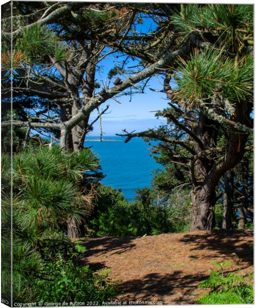 The Ocean behind the Pines. Canvas Print by George de Putron