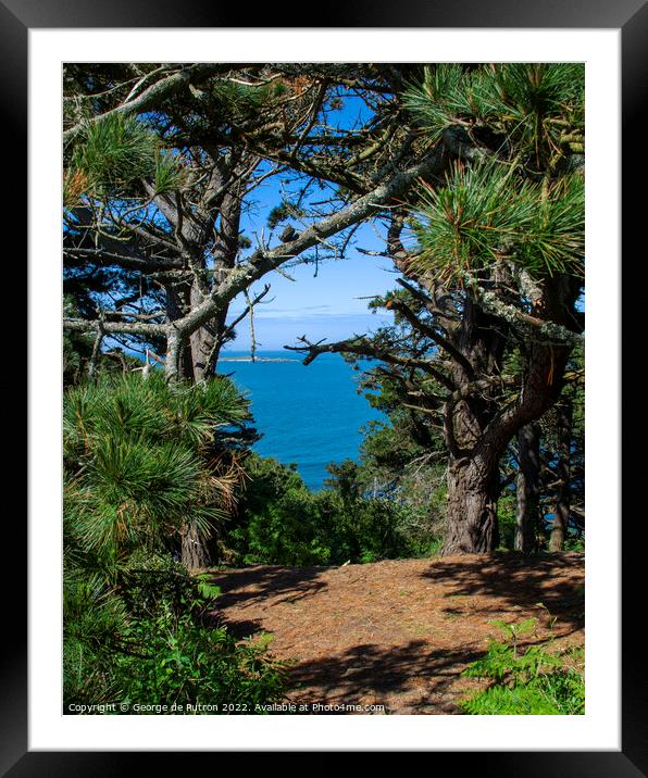 The Ocean behind the Pines. Framed Mounted Print by George de Putron