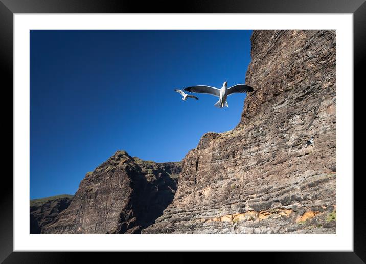 Seagull at Los Gigantes Cliffs in Tenerife Framed Mounted Print by Artur Bogacki