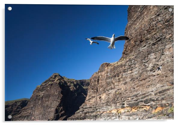 Seagull at Los Gigantes Cliffs in Tenerife Acrylic by Artur Bogacki