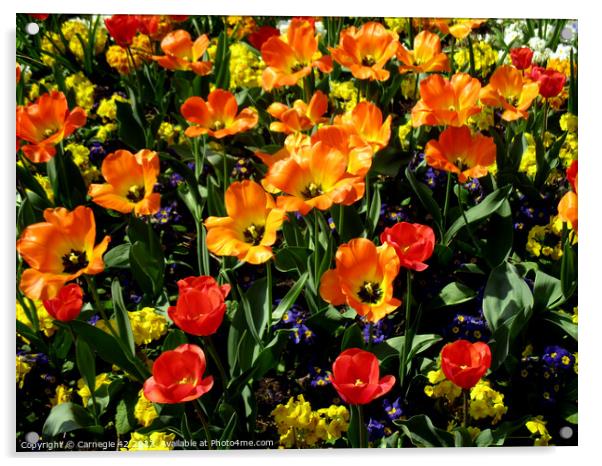 Vibrant Floral Symphony Acrylic by Carnegie 42