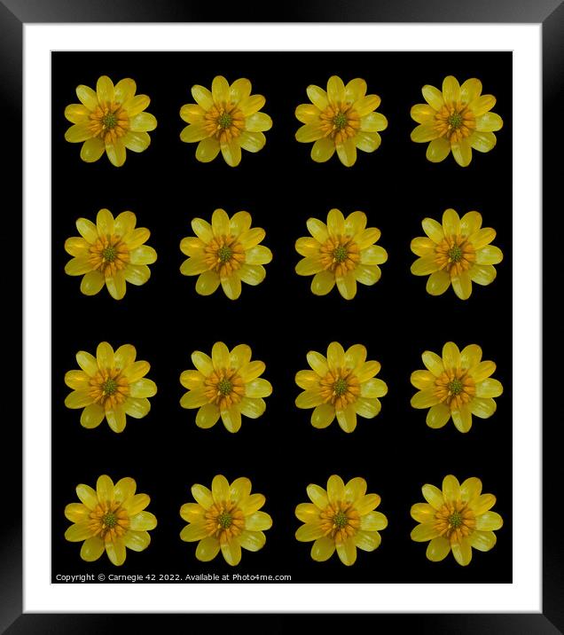 Floral Symphony: Digital Artistry Unveiled Framed Mounted Print by Carnegie 42