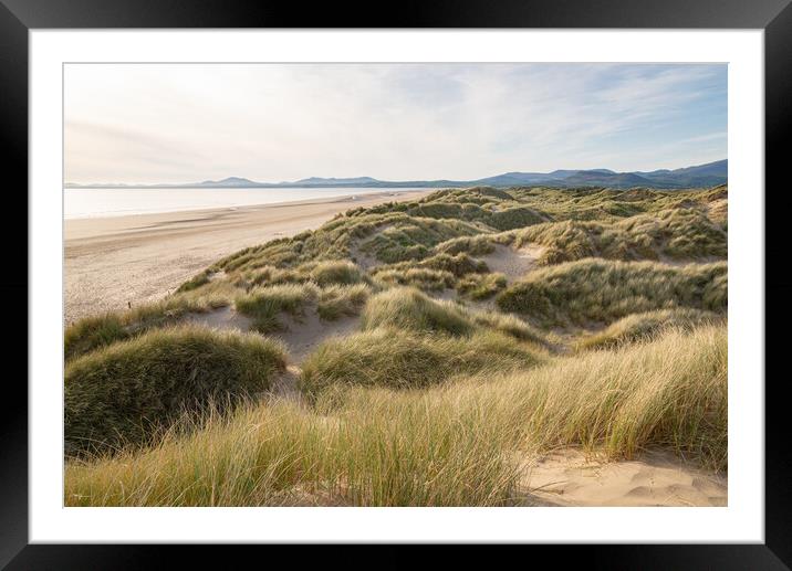 Harlech beach and dunes at sunset Framed Mounted Print by Andrew Kearton