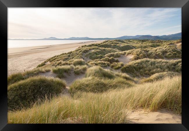 Harlech beach and dunes at sunset Framed Print by Andrew Kearton