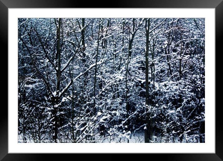 Winter's Ethereal Embrace Framed Mounted Print by Carnegie 42