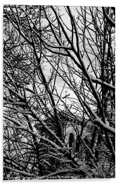 Winter's Tranquillity in Kingston Acrylic by Carnegie 42