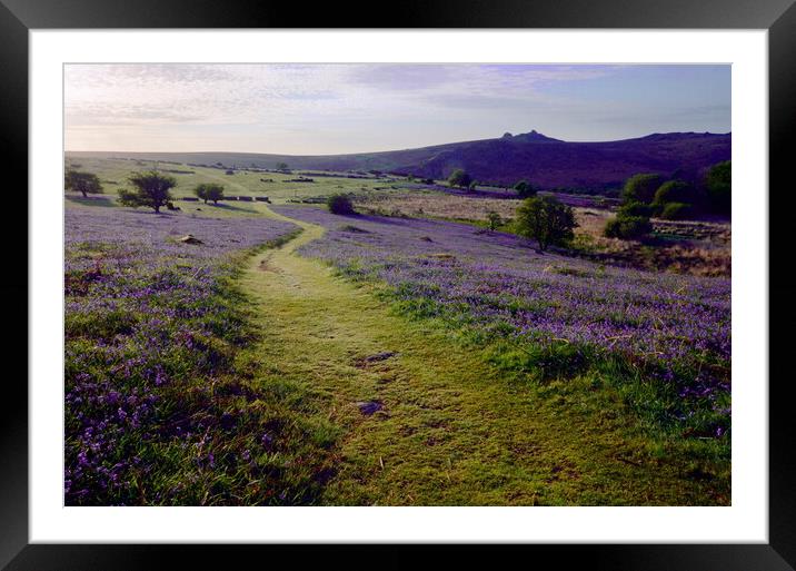 Holwell Lawn, Dartmoor Framed Mounted Print by David Neighbour