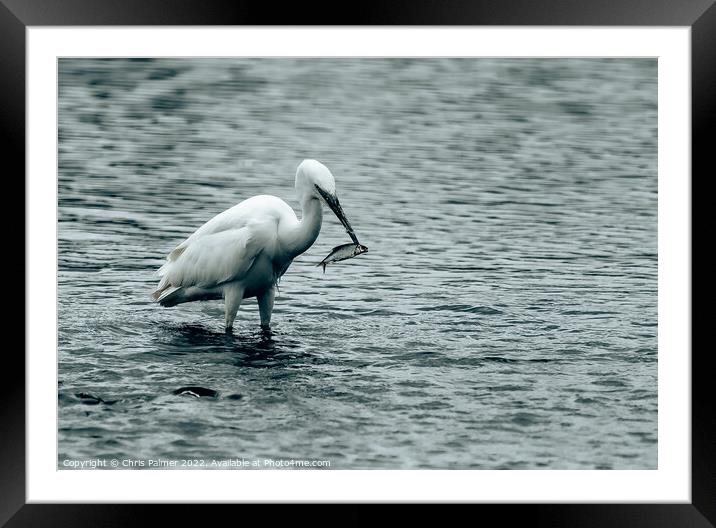 Outdoor  Framed Mounted Print by Chris Palmer