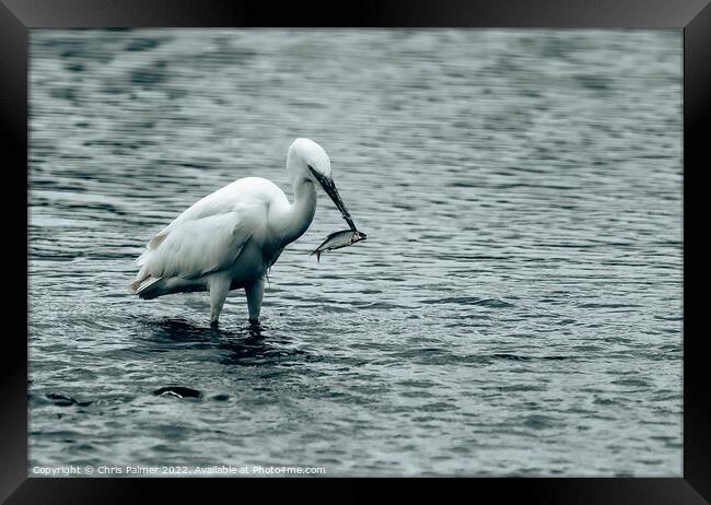 Outdoor  Framed Print by Chris Palmer