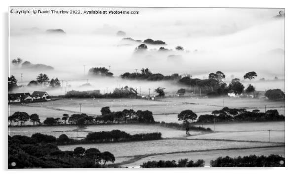 Mist on the fields Acrylic by David Thurlow