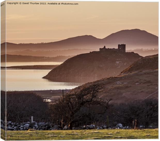Criccieth castle on the Llŷn Peninsula  Canvas Print by David Thurlow