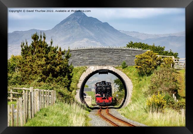  NGG16 Garratt locomotive on the Welsh Highland railway Framed Print by David Thurlow