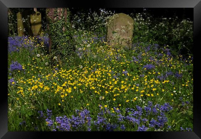 The Resting Place Framed Print by Martyn Arnold