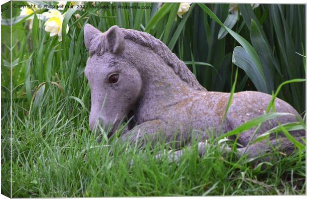 Horse Statue 1 Canvas Print by Philip Lehman