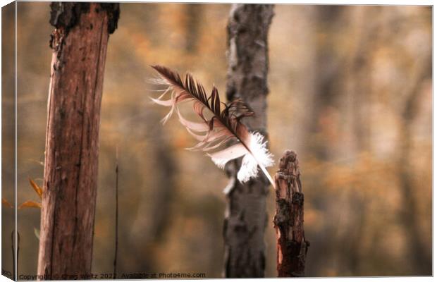A Eagel Feather Blowing In The Wind Canvas Print by Craig Weltz