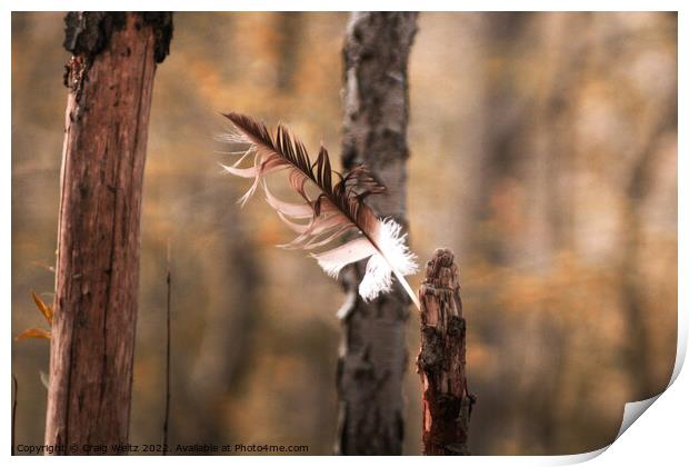 A Eagel Feather Blowing In The Wind Print by Craig Weltz