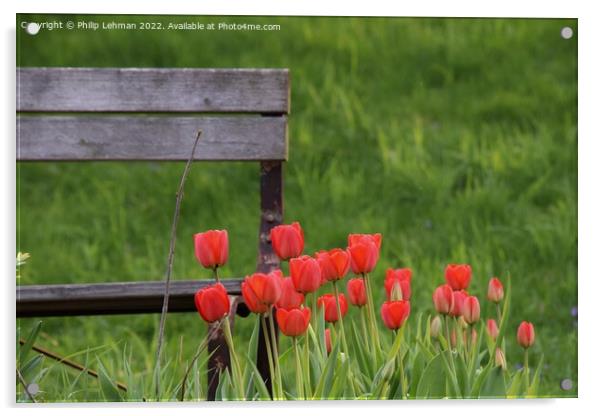 Tulip Garden (18A) Acrylic by Philip Lehman