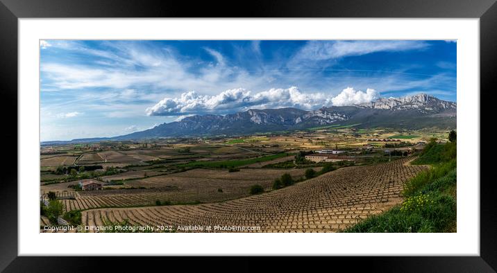 La Rioja Alavesa Framed Mounted Print by DiFigiano Photography