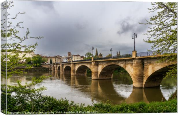 Logrono Riverside Canvas Print by DiFigiano Photography